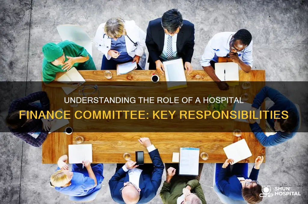 what does a finance committe do in a hospital