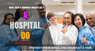 Hospital Financial Analyst Role: Budgeting, Cost Management, and Revenue Optimization