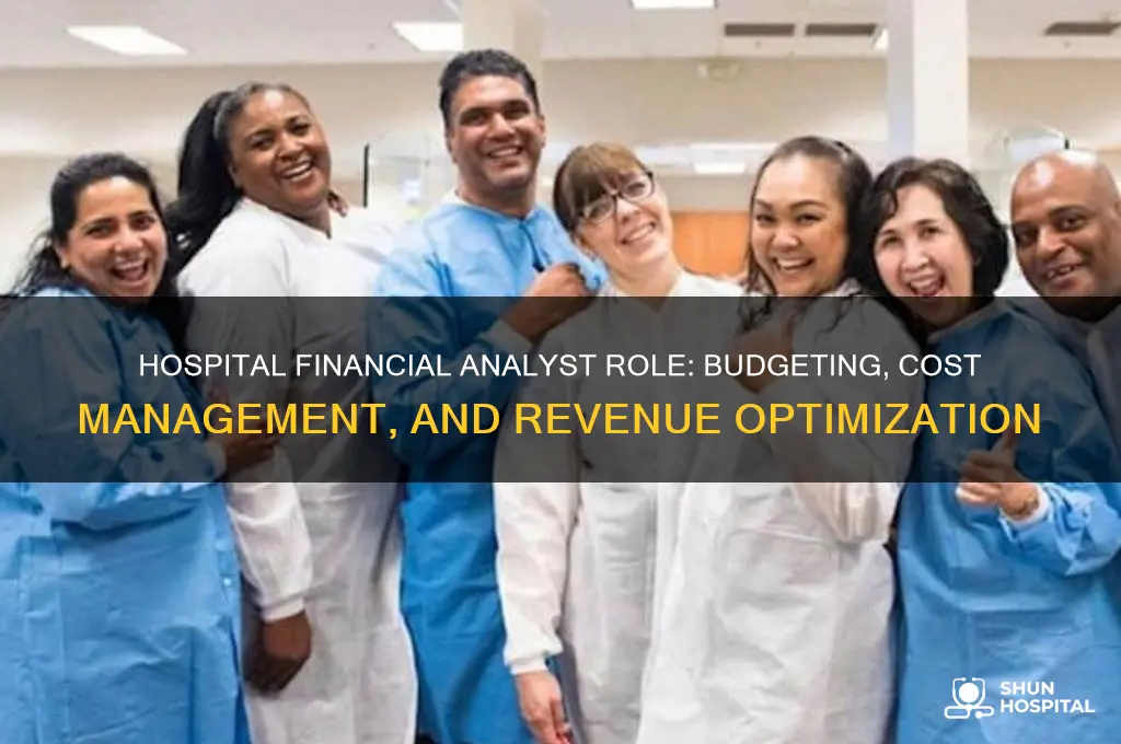 what does a financial analyst at a hospital do