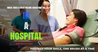 Healthcare Assistant Roles: Essential Hospital Duties and Responsibilities Explained
