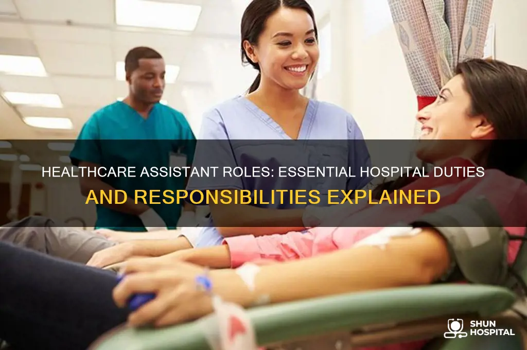 what does a healthcare assistant do in a hospital