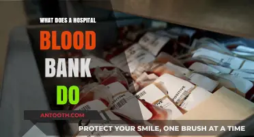 The Vital Role of Hospital Blood Banks