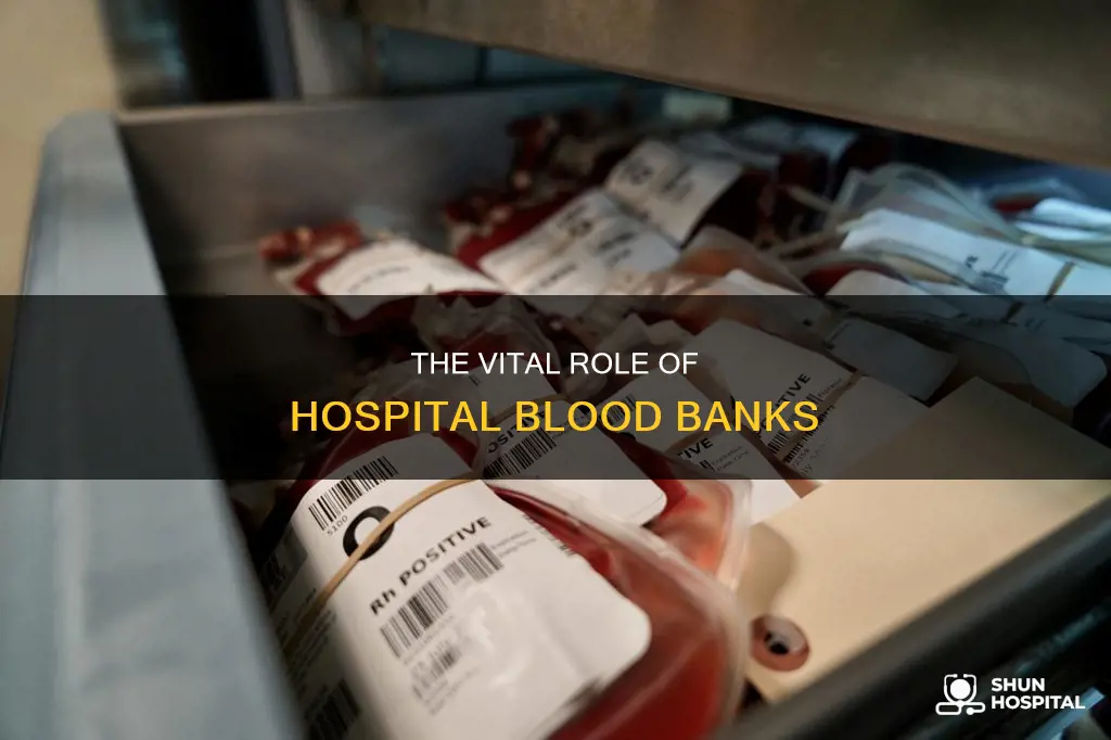 what does a hospital blood bank do