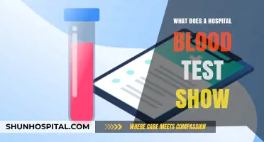 Blood Tests: Vital Health Insights Revealed