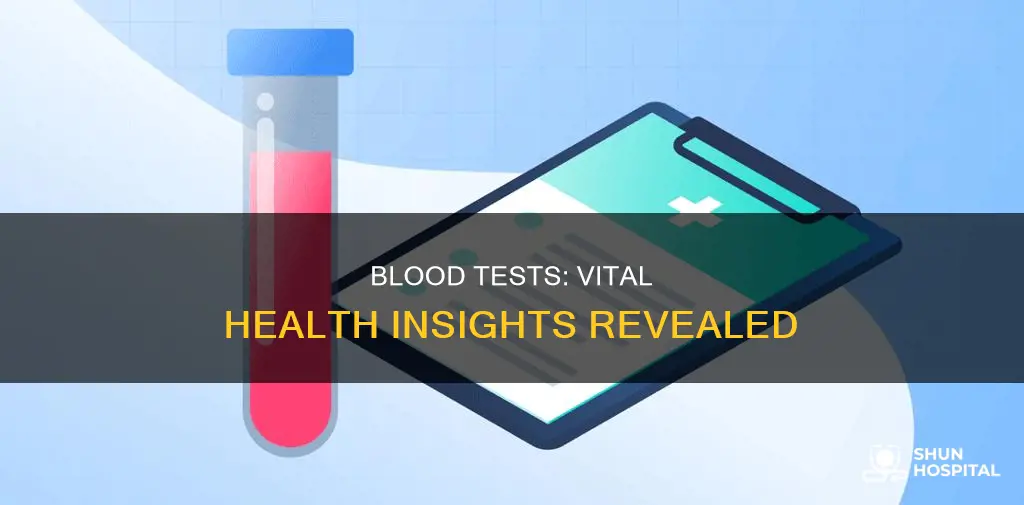 what does a hospital blood test show