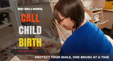 Childbirth: A Hospital's Perspective and Process