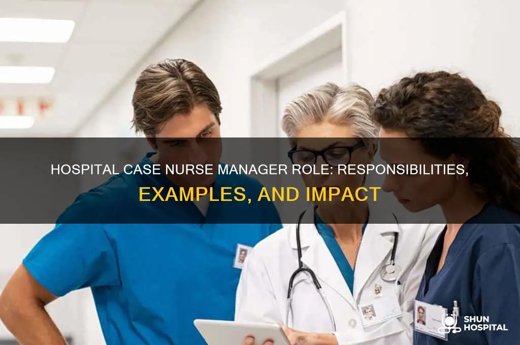 what does a hospital case nurse case manager do examples