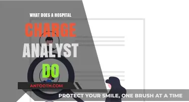 Exploring the Role of Hospital Charge Analysts