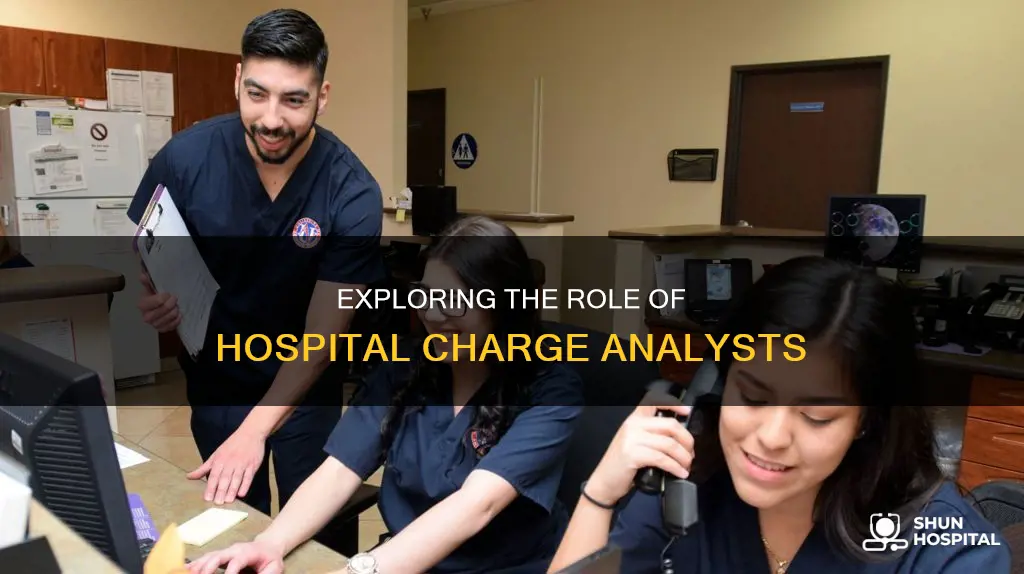 what does a hospital charge analyst do