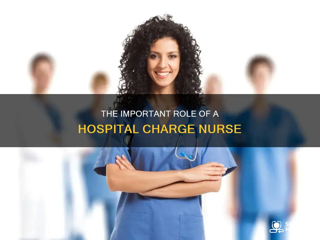 what does a hospital charge nurse do