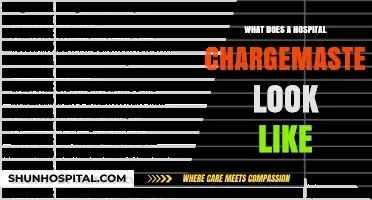 Understanding Hospital Pricing: Exploring the Chargemaster
