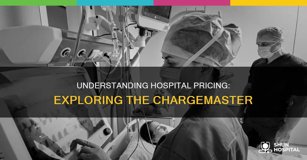 what does a hospital chargemaster look like