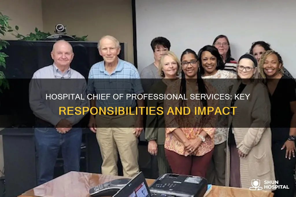 what does a hospital chief of professional services do