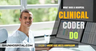 Exploring the Role of Hospital Clinical Coders