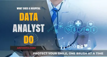 Exploring the Role of a Hospital Data Analyst