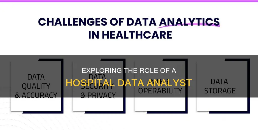 what does a hospital data analyst do