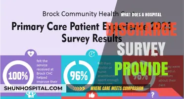 Hospital Discharge Surveys: Patient Insights and Feedback