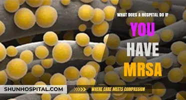 Understanding Hospital Protocols for MRSA Treatment and Prevention
