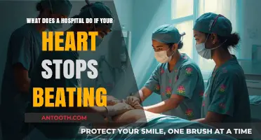 What Happens When Your Heart Stops: Hospital Emergency Response Explained