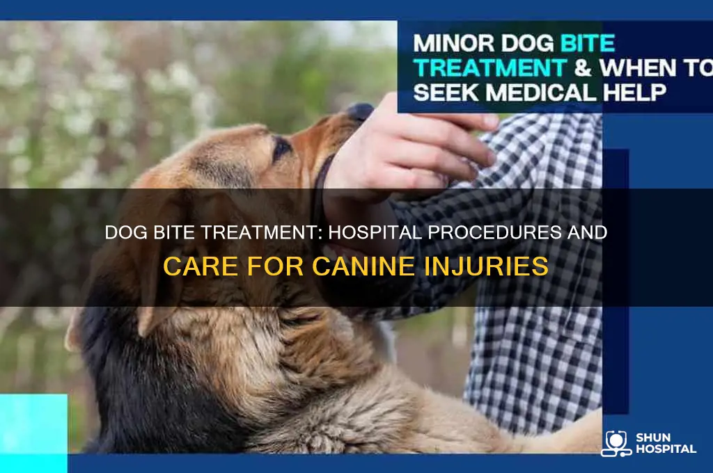 what does a hospital do to a dog bite