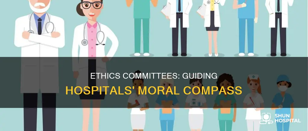 what does a hospital ethics commitee do