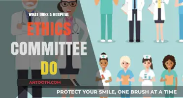 Ethics Committees: Guiding Hospitals Through Complex Cases