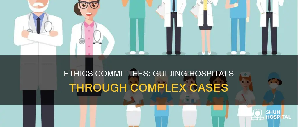 what does a hospital ethics committee do