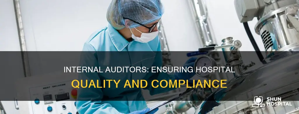 what does a hospital internal auditor do