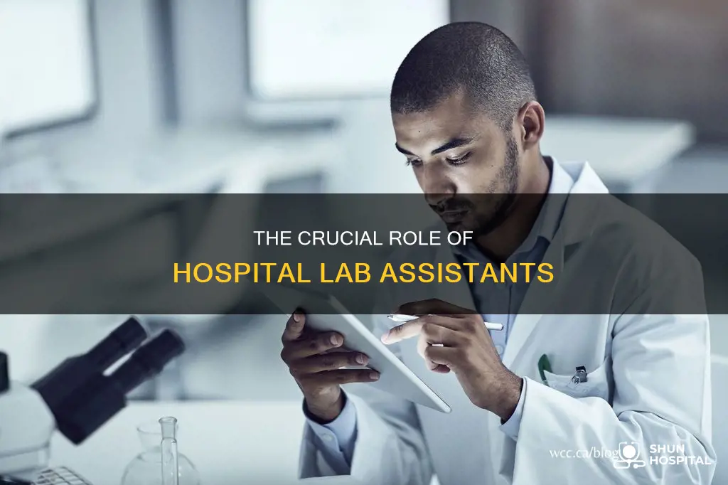 what does a hospital lab assistant do