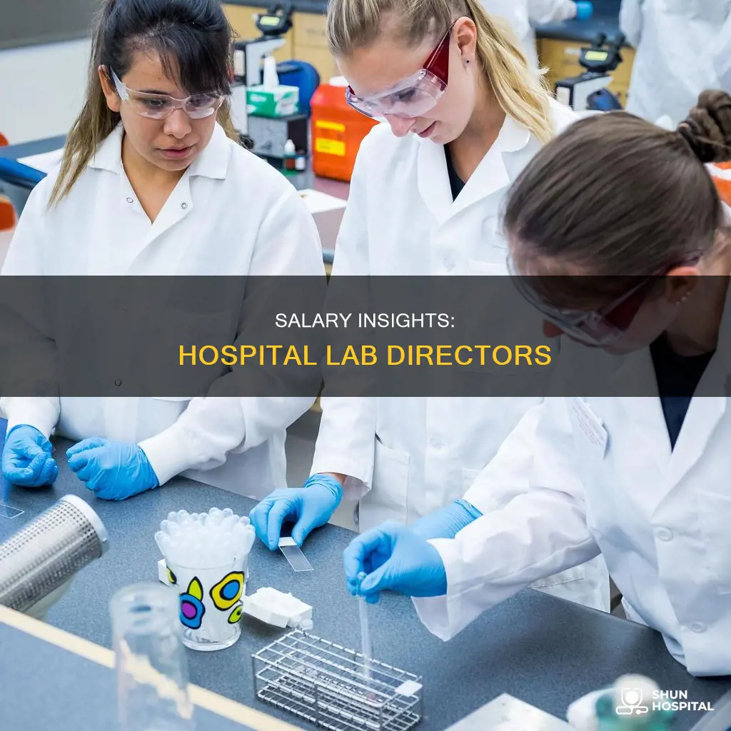 what does a hospital lab director earn