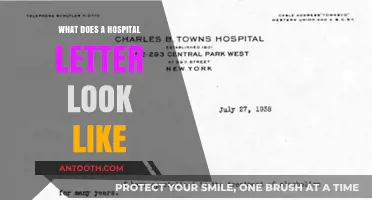 A Glimpse Inside Hospital Letters