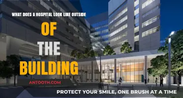 Exploring the Exterior: A Hospital's Outdoor Design and Features
