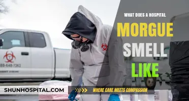 The Stench of Death: Morgue Odors Explained