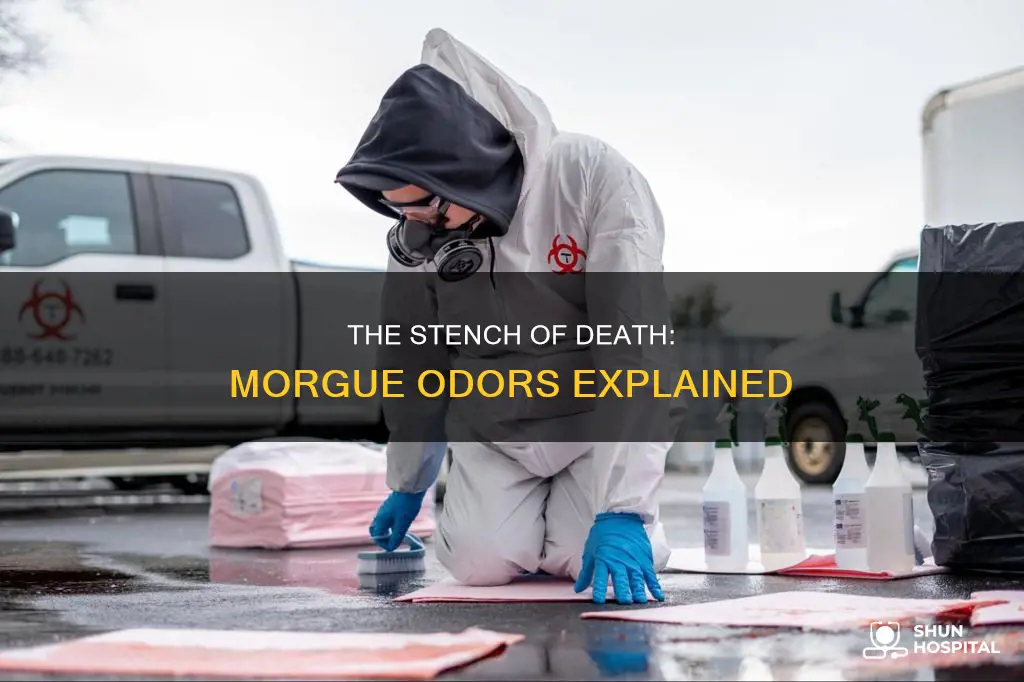 what does a hospital morgue smell like