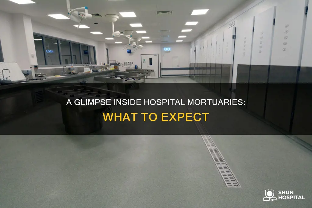 what does a hospital mortuary look like