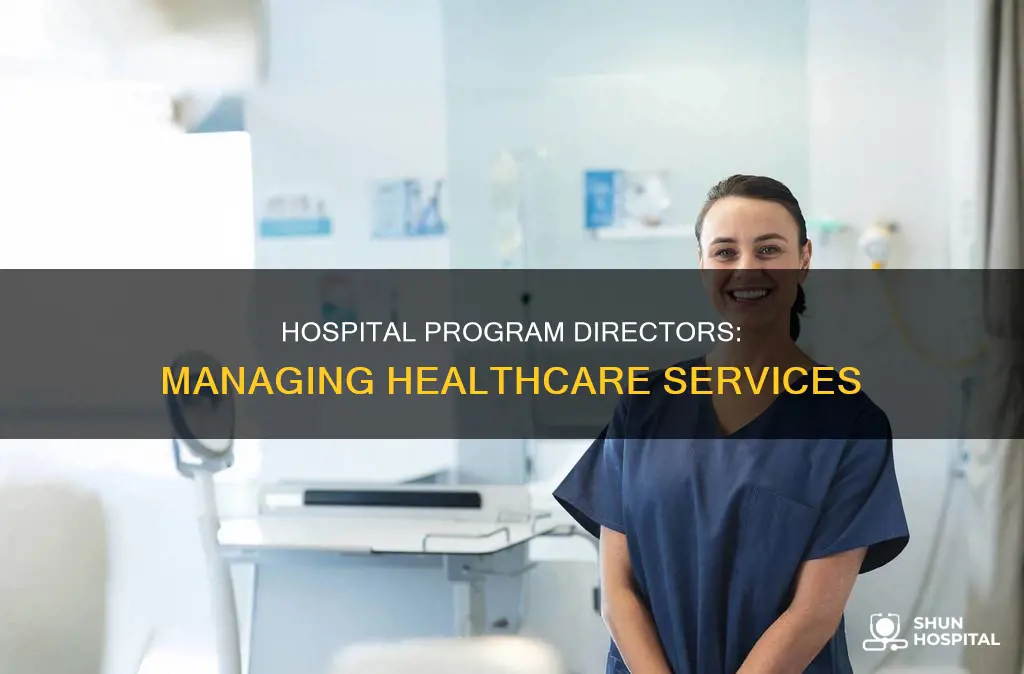 what does a hospital program director do