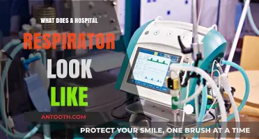 A Glimpse at Hospital Respirators: Function and Form