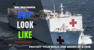 Hospital Ships: A Glimpse Inside Their Design and Function