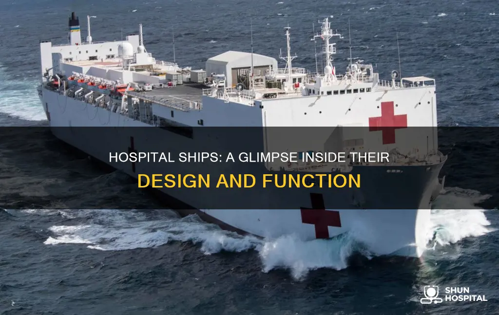 what does a hospital ship look like