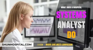 Hospital Systems Analysts: Ensuring Smooth Healthcare Operations