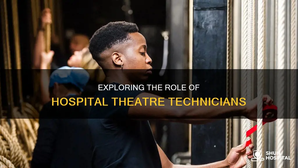 what does a hospital theatre technician do