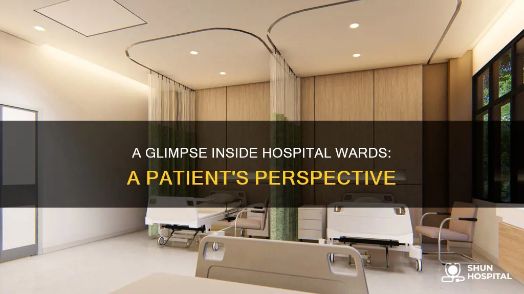 what does a hospital ward look like