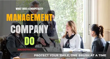 Hospitality Management Companies: Elevating Guest Experiences and Operations