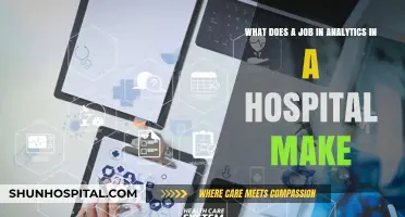 Exploring the Role of Analytics Professionals in Modern Healthcare Settings