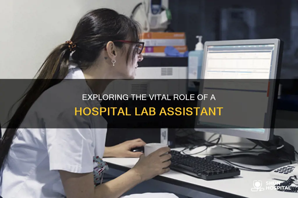 what does a lab assistant do in a hospital