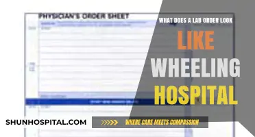 Understanding Lab Order Formats at Wheeling Hospital: A Comprehensive Guide