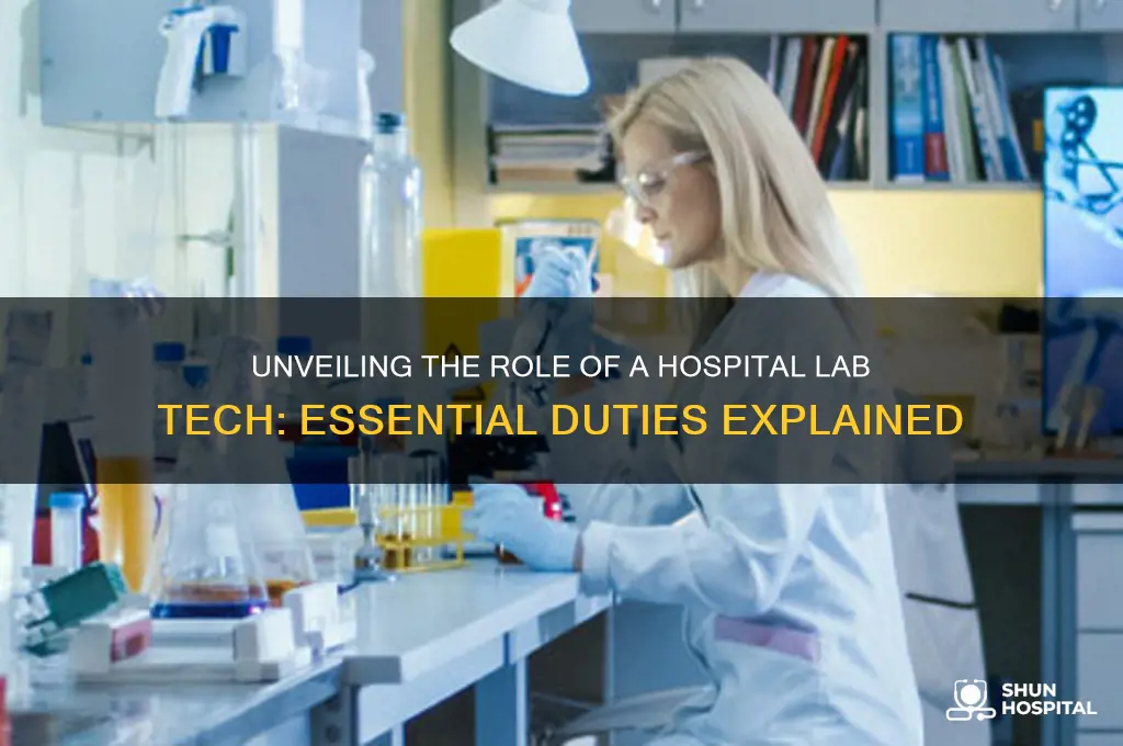 what does a lab tech do in a hospital
