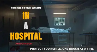 Inside the Hospital Morgue: A Look at Its Structure and Function