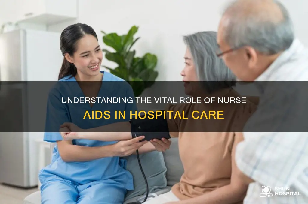what does a nurse aid do in a hospital
