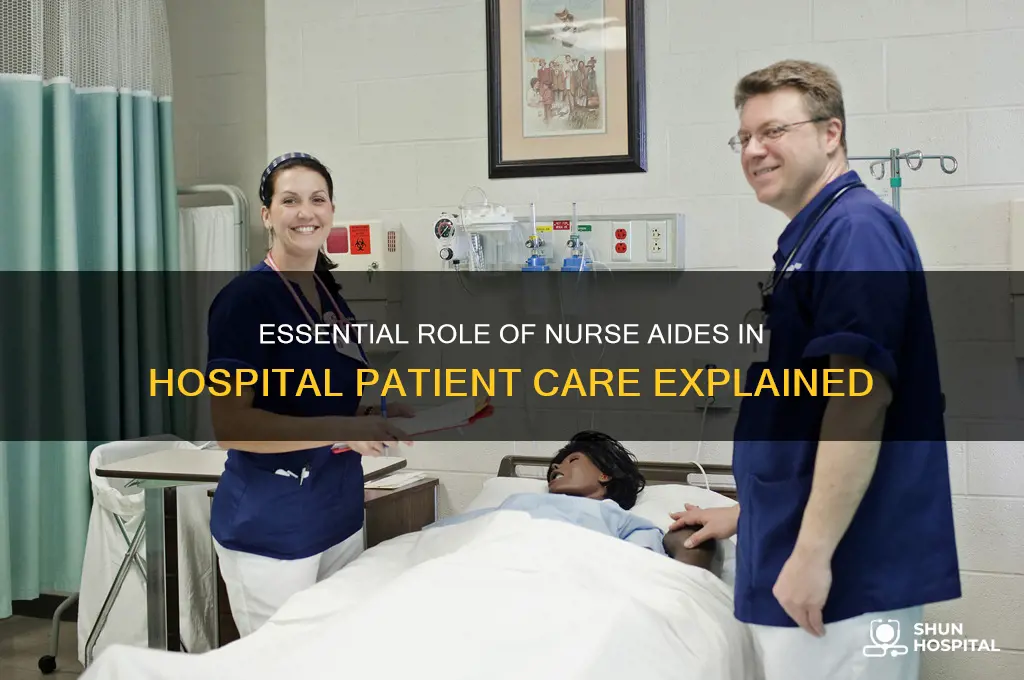 what does a nurse aide do in a hospital